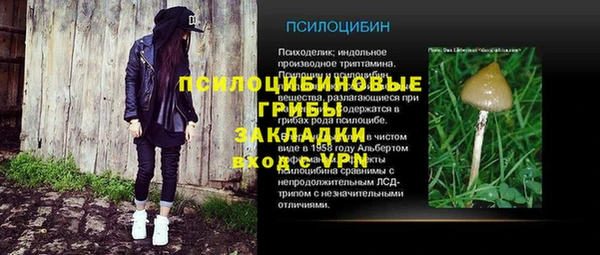 гашик Куйбышев