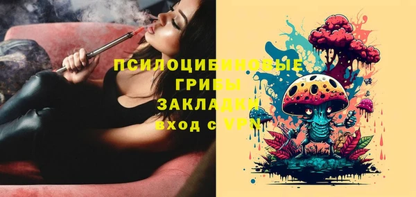 гашик Куйбышев