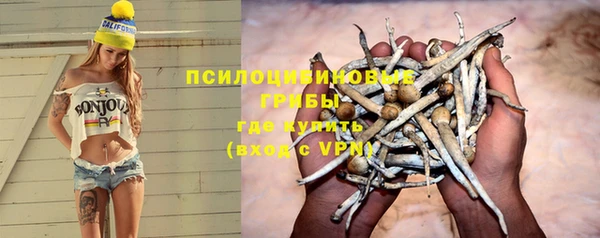 ALPHA PVP Кулебаки