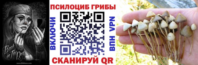 Псилоцибиновые грибы Cubensis  Купить где  Холмск 
